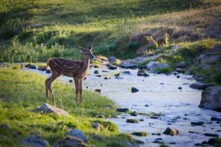 Klimaresonanzfenster